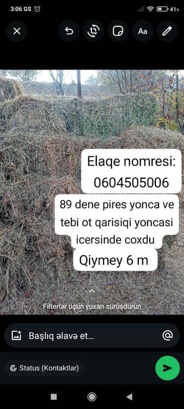 toyuq ucun yem qablari: Pires — 1