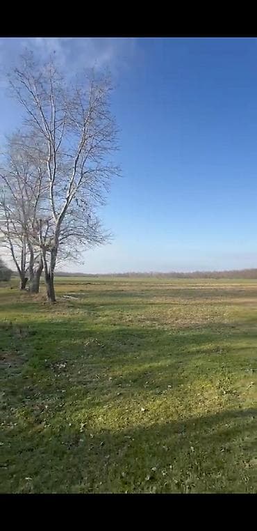 54 sot, Kənd təsərrüfatı, Maklerlər narahat etməsin, Kupça (Çıxarış) — 1