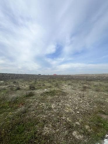 61 sot, Biznes üçün — 6