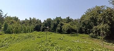 15 соток, Для сельского хозяйства, Собственник — 3