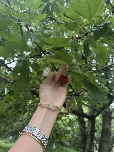 ismayıllı kirayə evlər: Для сельского хозяйства, Купчая — 5