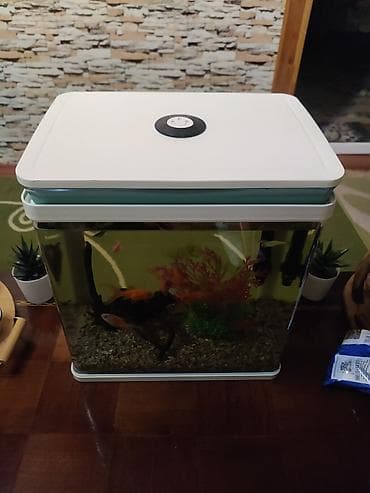 hava matoru: Akvaryum seti – şık kvadrat dizaynlı, ağ rəngli qapaq və alt baza ilə — 4