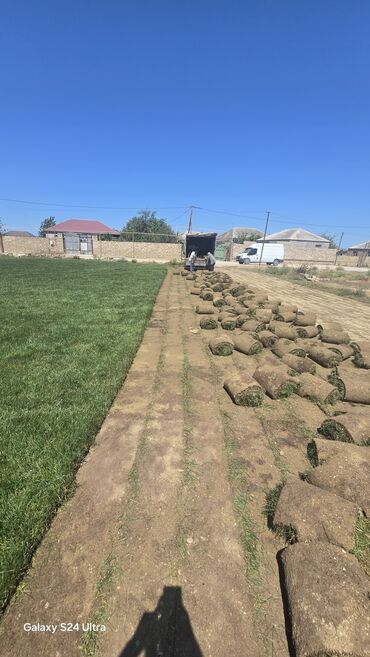 Təbii qazon rulonları landşaft dizaynı üçün əla seçimdir. Bu qazon