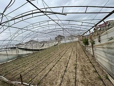 ev qap: İstixana kompleksi – dam örtüyü karkaslı, tam işlək əkin sahələri və — 5