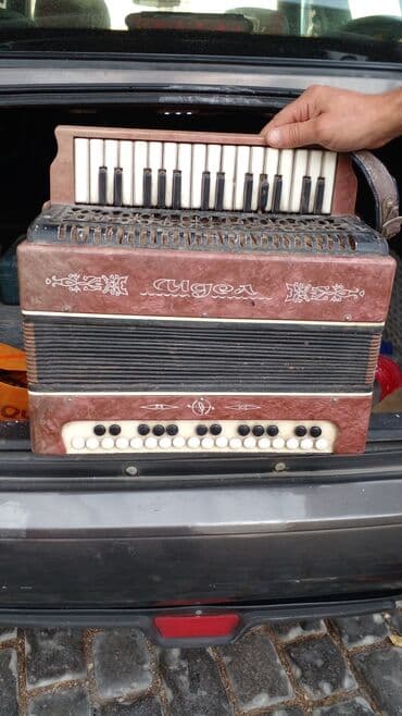 akkardion: Akustik Akkordeon — 2