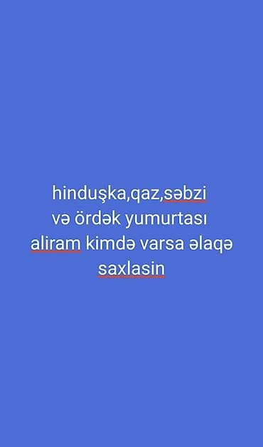 qurban bayramı xonca: Xidmət: Hinduşka, qaz, və ördək yumurtası alışı Təsvir: - Aşağıdakı — 1