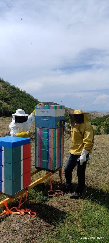 продается мед: Elf bee's 1977 eco product for health and longevity tovuzun — 15