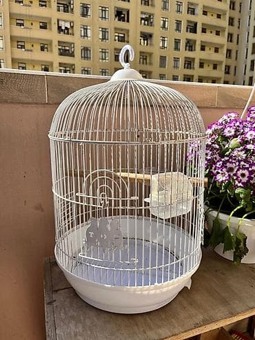 Собаки: Ağ rəngli dairəvi quş qəfəsi su qabı verilir üsdündə - Material — 2