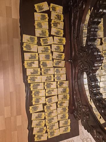 Bakidan Lətif Qiynətogullari șirkətinin yetiṣdirdiyi Karnika Cins F1 lalafo.az -da Bakidan Lətif Qiynətogullari șirkətinin yetiṣdirdiyi Karnika Cins F1