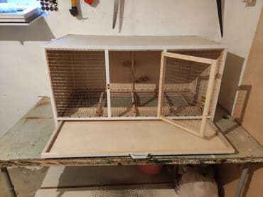 quş qəfəs: Papuqay,dovşan,hamster,şinşila,bildirçin,cücə,xamyak,pişik,quş,tısbağa — 3