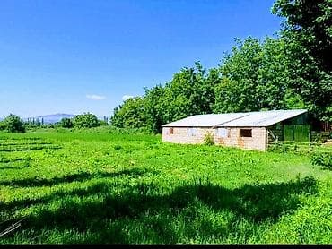 Kənd təsərrüfatı