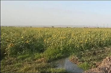 quba torpaq: 220 sot, Kənd təsərrüfatı, Maklerlər narahat etməsin, Kupça (Çıxarış) — 3