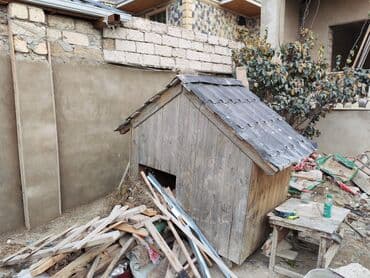 hazir yuva: Razılaşma yolu ilə — 2