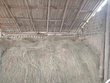 Pişiklər: Quru ot – heyvan yemi - Növ: təbii biçin otları (otlaq və çəmən — 2