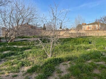 sabunçu qəsəbəsi: 8 sot, Tikinti, Mülkiyyətçi, Bələdiyyə — 2