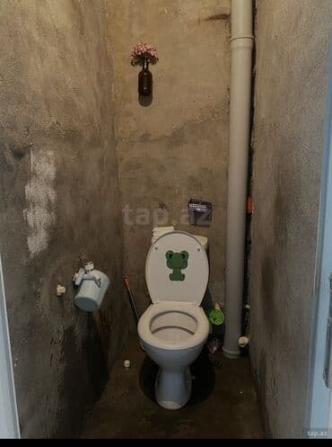 tap.az saatli: 300 Azn Şəkidə kirayə. təzə bazarın aşağısındaki bina 4. mərtəbə 2 — 10