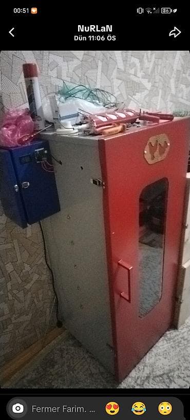 Sənaye tipli inkubator şkafı. İnqubatordan başı çıxanlar əlaqə