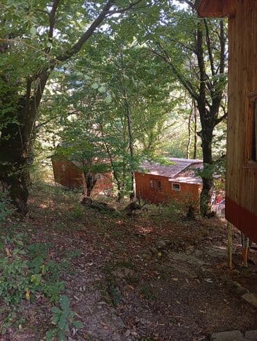 kirayə aylıq: 3000 kv. m, 3 otaqlı — 14