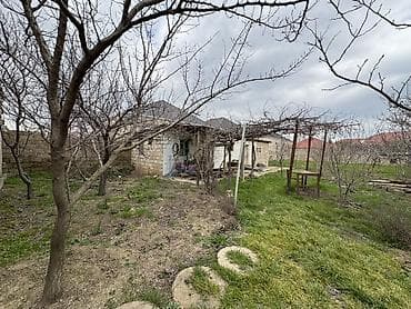 bine savxoz ev: 10 sot, Tikinti, Maklerlər narahat etməsin — 2