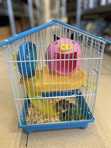 heyvanlar ucun mallar: Cunqarik üçün tam dəst qəfəs

Cunqarikler qefesle birlikde verilir — 1