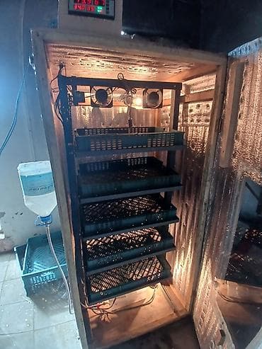 Kənd təssərüfatı avadanlığı: Yumurta inkubatoru – avtomatik idarəetməli, çoxsəviyyəli 520 yumruta — 4