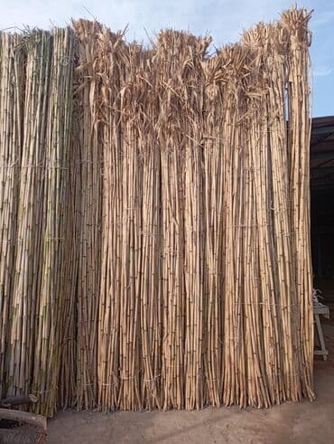 набор для рисования бишкек: Qamiş satılır ünvan Ağstafa Rayon Aşagi Kəsəmən kəndi ətraflı zəng — 2