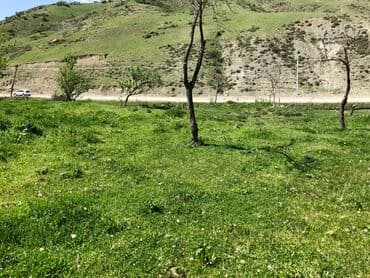 yeni əmlak sumqayıt: 30 sot, Kənd təsərrüfatı, Mülkiyyətçi, Kupça (Çıxarış) — 7