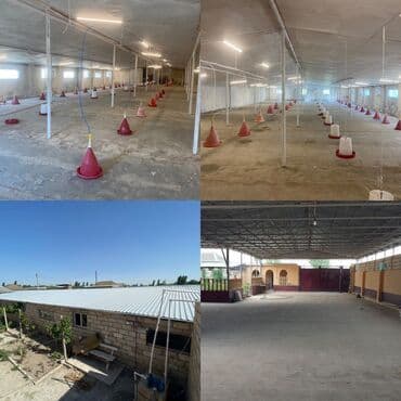 kənd colpası satışı: Ünvan: salyan rayonu, parça xelec kendi, şirvan yolunun üstü 50 sot — 1