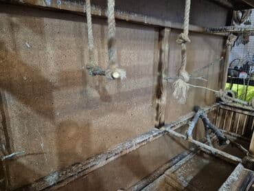 Yemlər: Ağac konstruksiyalı iri quş qəfəsi/volyer Ölçülər (şəkildə — 5