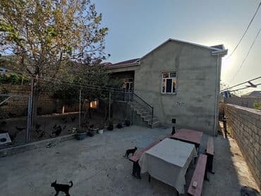 sumqayitda kiraye evler 8 mkr: 4 комнаты, 110 м², Нет кредита, Свежий ремонт — 2