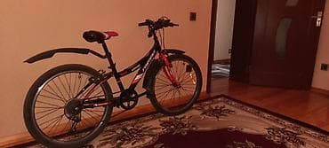 Uşaq arabaları: İki təkərli Uşaq velosipedi 24" — 4