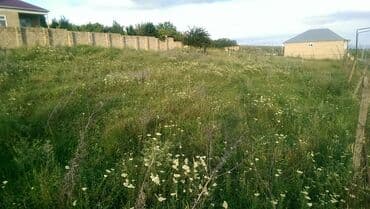 xacmaz rayonu qusarcay kendi: 10 sot, Tikinti, Mülkiyyətçi, Bələdiyyə — 2