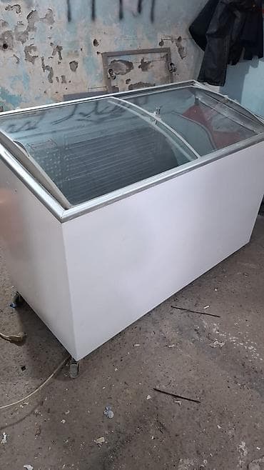 Soyuducu avadanlığı: Şüşəli dondurucu — 1