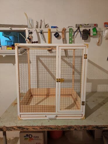 karlik dovşanlar: Papuqay,dovşan,hamster,şinşila,bildirçin,cücə,xamyak,pişik,quş,tısbağa — 1