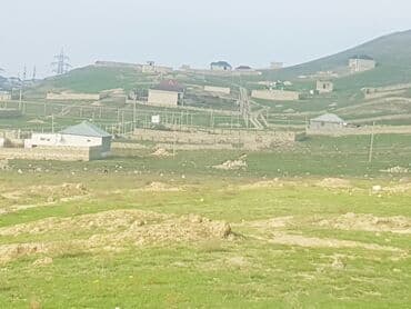 qobu yolu: 8 sot, Tikinti, Mülkiyyətçi, Bələdiyyə — 1