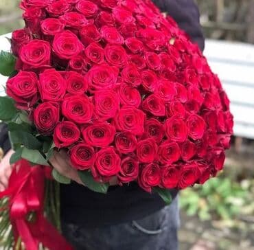 🔴 101 Qızılgül böyük ölçü (80sm) - 190₼ 🌐 Ünvan - Əcəmi m yaxınlığı