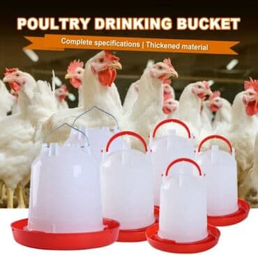 pişik su qabı: Yem qabı, Su üçün, Quşlar üçün, Rayonlara çatdırılma, Ünvandan götürmə, Pulsuz çatdırılma — 1