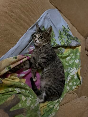 Erkək, Yaxşı əllərə, Ünvandan götürmə