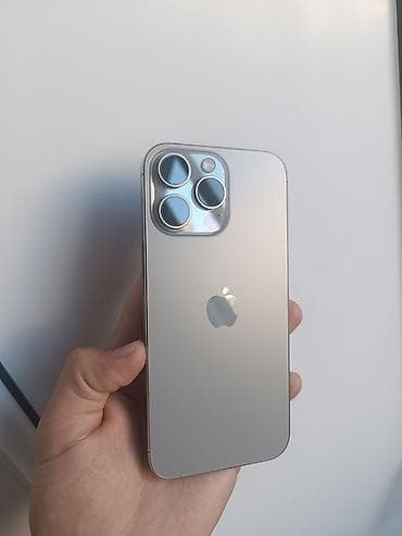 iphone 12 case: Gümüşü — 1