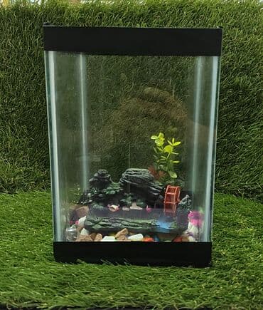 аквариум без рыб: Dördbucaq akvarium, Boş, 5 l — 1
