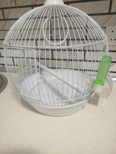 купить клетку для морской свинки: Quşlar üçün ağ rəngdə sferik formada qəfəs. İçərisində bir ədəd oturaq — 1