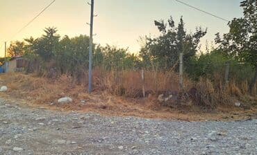 10 sot, Kənd təsərrüfatı, Mülkiyyətçi, Kupça (Çıxarış)