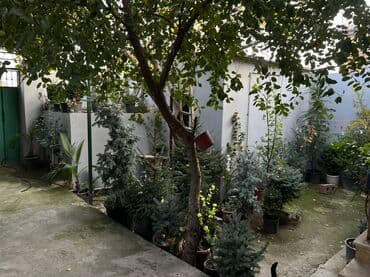 neftcilər ev: 4 otaqlı, 250 kv. m, Kredit yoxdur, Yeni təmirli — 6