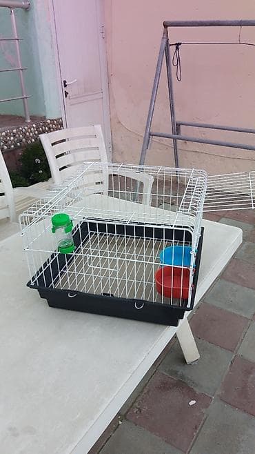 Pişiklər: Клетка для попугаев,размеры-46×46см,высота-33см.кормушки и поилка в — 2