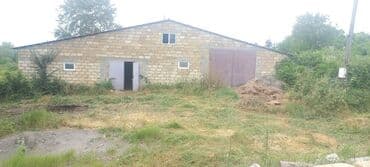 mağaza üçün yer icarəyə götürürəm: Ünvan: Qusar şəhəri Ləyər kəndi (ləzgi ləyər) 1hk 68 sot bağ yeri — 1