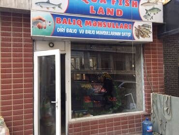 mingəcevirdə icarə obyektlər: Yasamal rayonu 25 kv.m sahəsi olan, obyekt(meyvə tərəvəz,balıq — 2