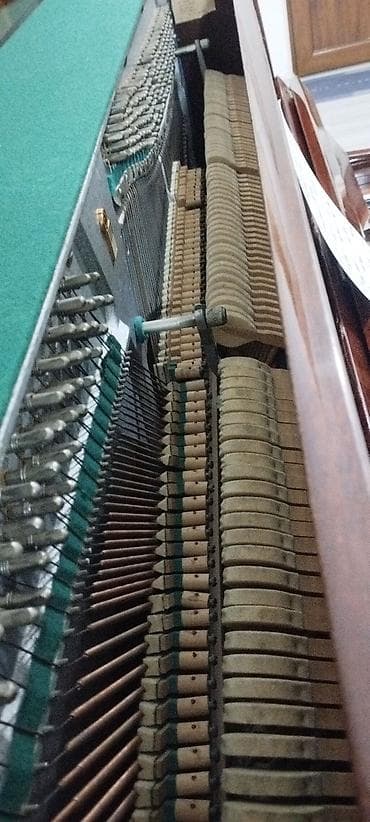 pianino belarus: Piano, Belarus, Akustik — 7