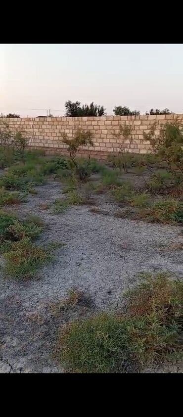 lənkəranda tələbələr ucun kirayə evlər: 6 sot, Tikinti, Barter mümkündür, Müqavilə — 1