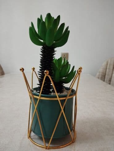 kuxna perdeleri 2021: Tava, Türkiyə — 5