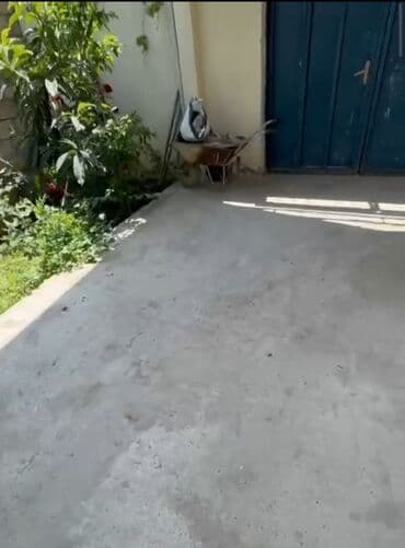 kirayə ev sabuncuda: Binəqədi qəs. 3 otaqlı, 100 kv. m, Yeni təmirli — 4